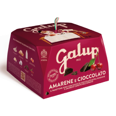 Panettone Cerises Amarene et Chocolat 750g