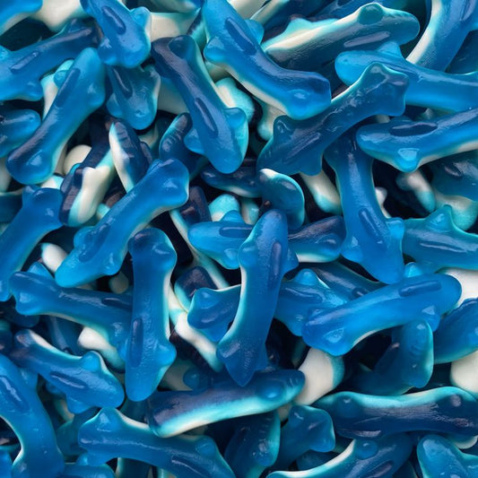 Bonbons en Gelée Requins Bleus Ô DÉLICES